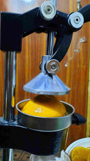 Manual juice extractor