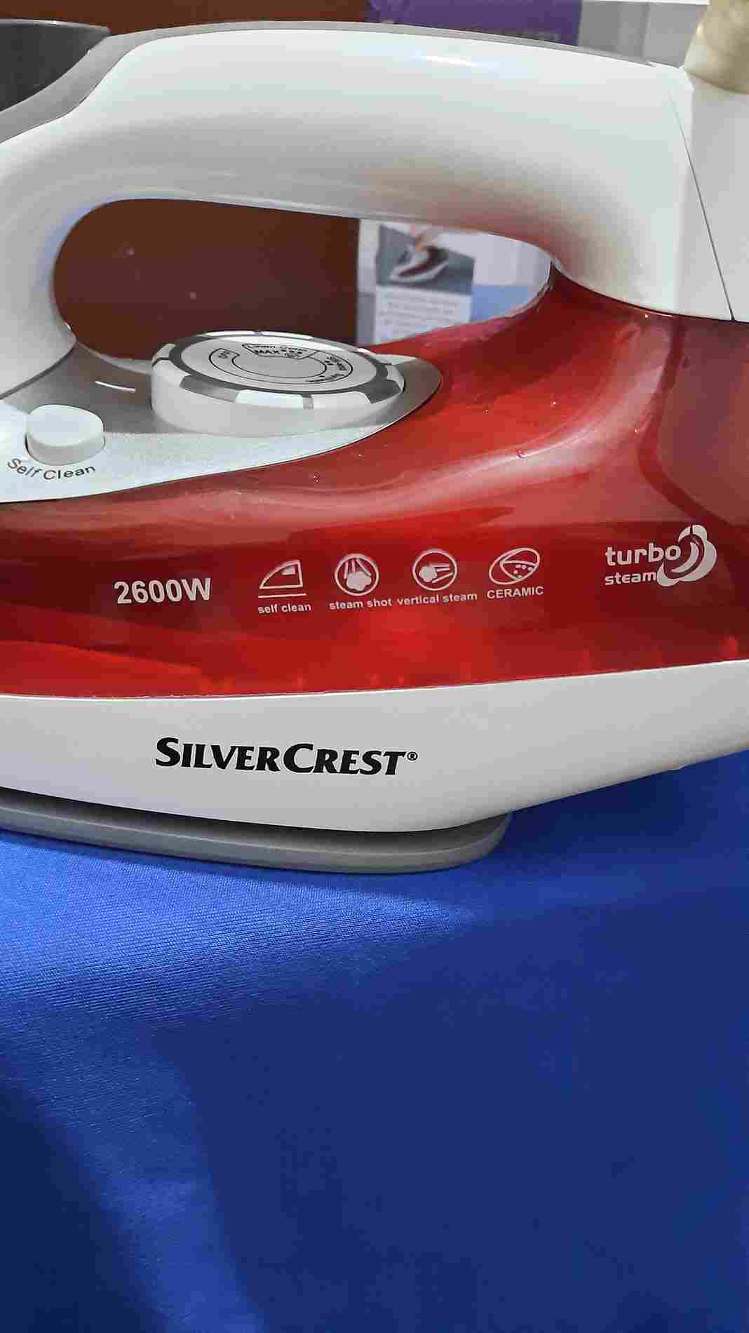 German Original Steam Iron