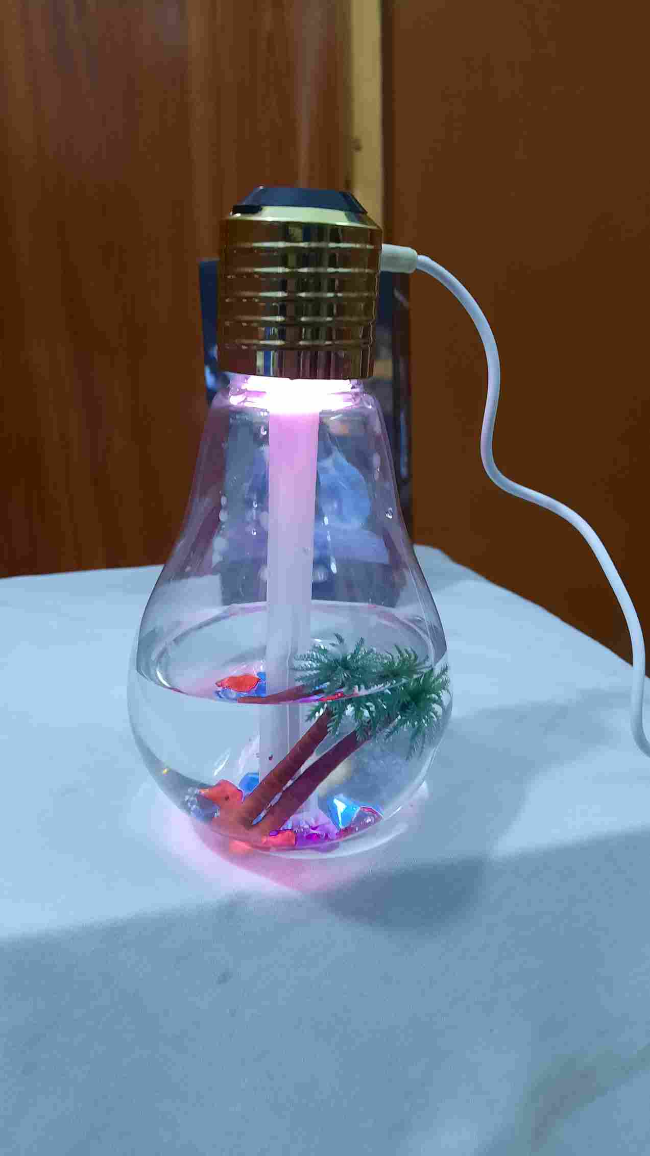 Bulb Humidifier