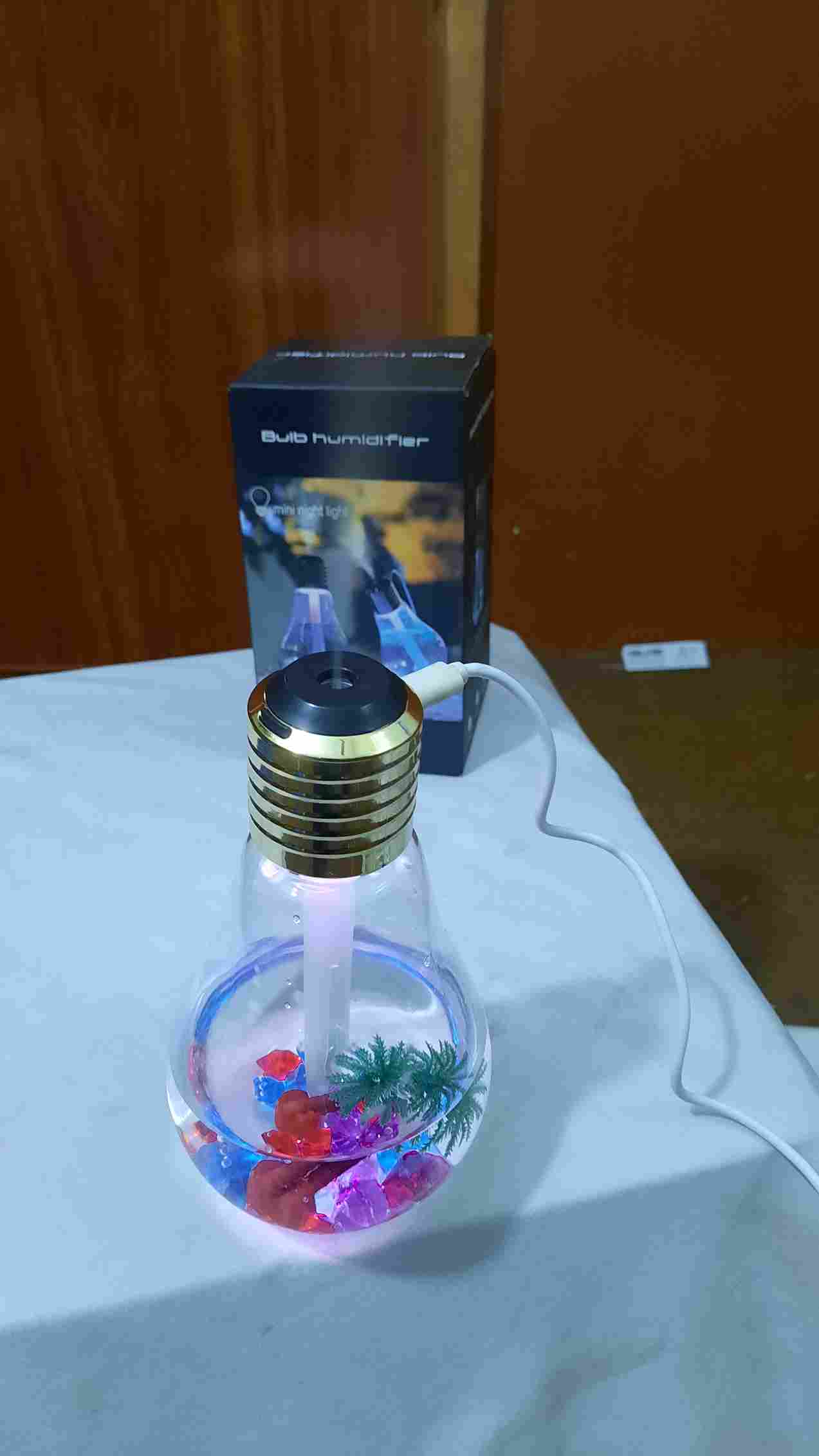 Bulb Humidifier